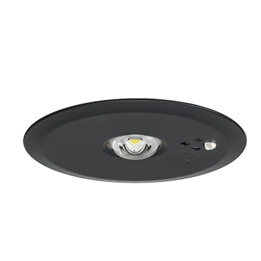 NNFB93645Z ( 昼白色 ) パナソニック 新品 天井埋込型 LED非常用照明器具 30分間タイプ 中天井用( ~6m ) 自己点検スイッチ付 リモコン自己点検機能付/埋込穴φ100 ( NNFB93645 後継) Panasonic
