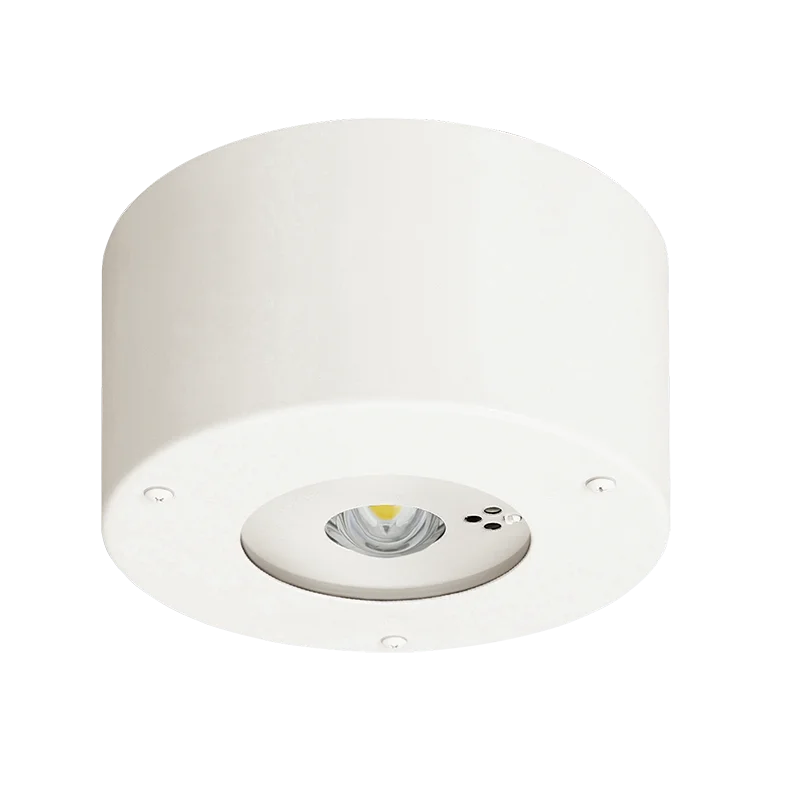 NNFB93106C パナソニック 新品 天井直付型 ( 昼白色 ) LED非常用照明器具 30分間タイプ 中天井用( ~8m ) 防湿型 防雨型 自己点検スイッチ付 リモコン自己点検機能付 ( NNFB93106J 後継) Panasonic