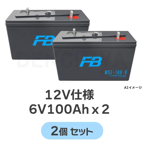MSE-100-6 【2個セット12V仕様】 制御弁式据置鉛蓄電池 古河電池 12V100Ah(10時間率) 消防法認定品 【受注生産品】【メーカー直送品】