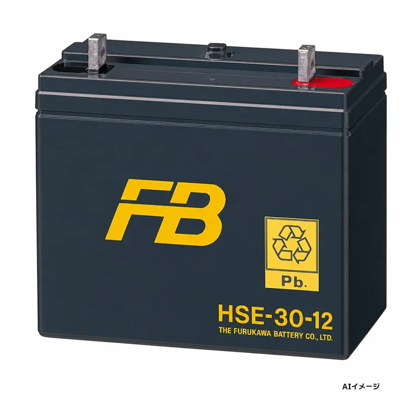 HSE-30-12 古河電池 制御弁式据置鉛蓄電池 12V30Ah HSEシリーズ メンテナンスフリー 【受注生産品】【メーカー直送品】