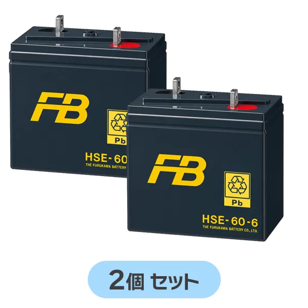 HSE-60-6 【2個セット12V仕様】 古河電池製 制御弁式据置鉛蓄電池 12V60Ah HSEシリーズ 【受注生産品】【メーカー直送品】