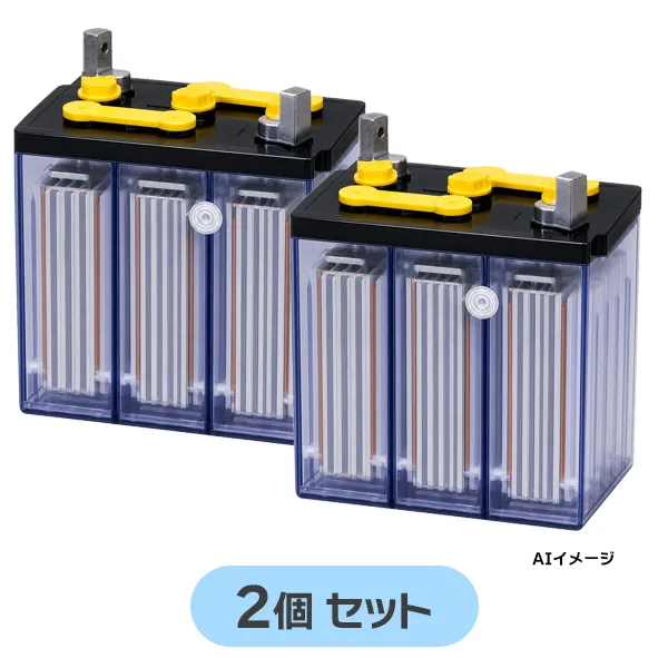 HS-50-6E 【2個セット12V仕様】 古河電池製 新品 ベント型据置鉛蓄電池 触媒栓付 12V50Ah HS-E形 【受注生産品】【メーカー直送品】