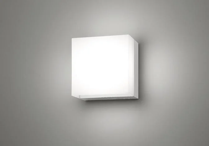 NNCF50140J LE1 パナソニック 壁直付型 LEDコンパクトブラケット階段通路誘導灯 30分間タイプ LED内蔵 電源ユニット内蔵 Panasonic