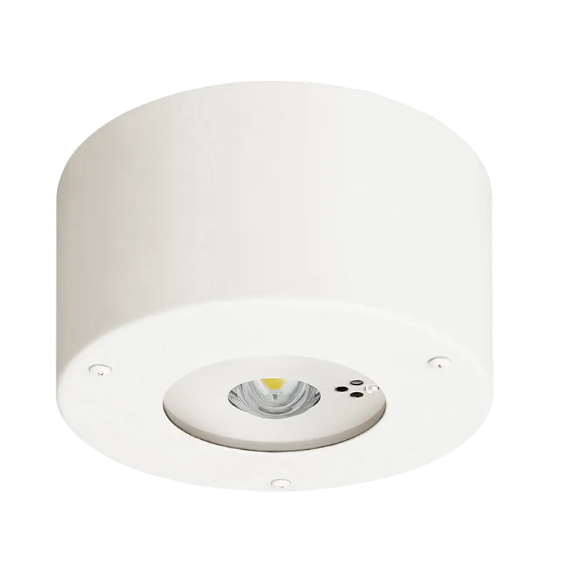 NNFB93107C パナソニック 新品 天井直付型 ( 昼白色 ) Panasonic LED非常用照明器具 30分間タイプ 高天井用( ~10m ) 防湿型 防雨型 自己点検スイッチ付 リモコン自己点検機能付 ( NNFB93107J 後継)
