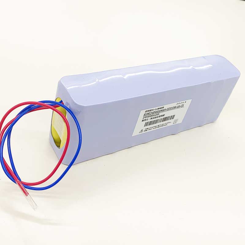 24V600mAh 組電池製作バッテリー 20N-600AA相当 2H1V(W型) D2010W-AA-CX <リード線のみコネクターなし>