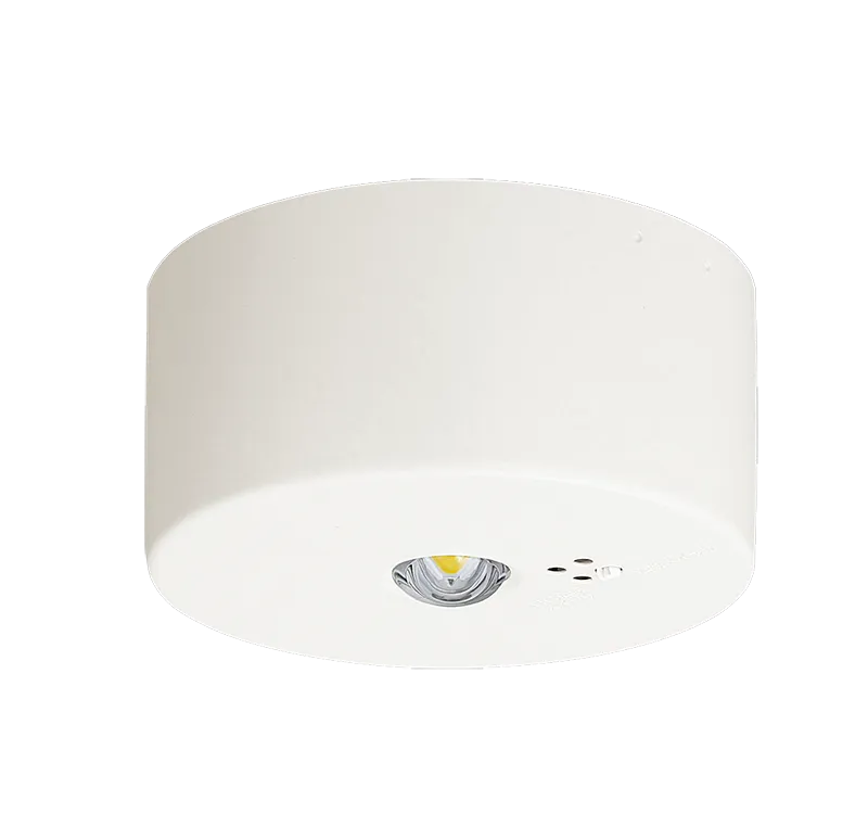 NNFB91085C 天井直付型 （ 昼白色 ） パナソニック Panasonic LED非常用照明器具 長時間定格型（ 60分間タイプ ） 低天井用（ ～3m ） 自己点検スイッチ付 リモコン自己点検機能付  （ NNFB91085J 後継）