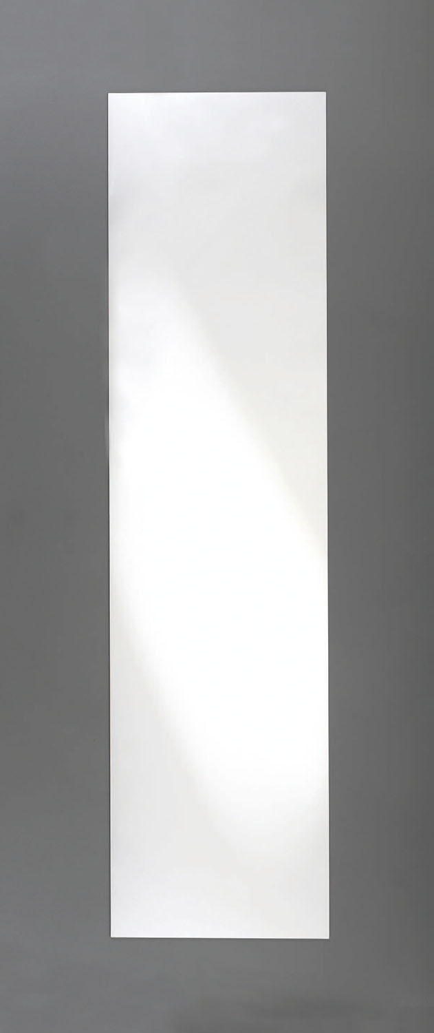 EA724Y-120A エスコ 300x1200mm 平面ミラー・姿見(樹脂製) (信栄物産 TFM-1230)