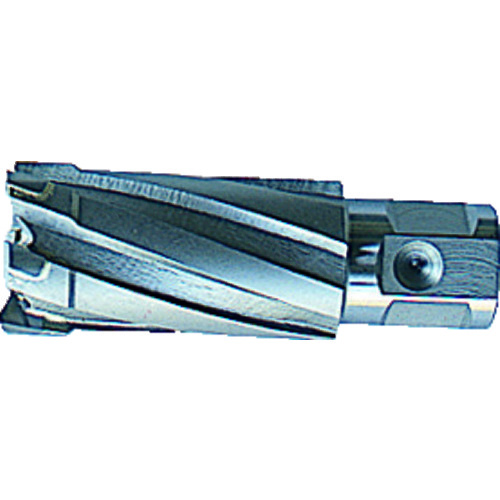 CCSQ240 大見工業 35SQクリンキーカッター 刃径24.0mm【発注単位:1】