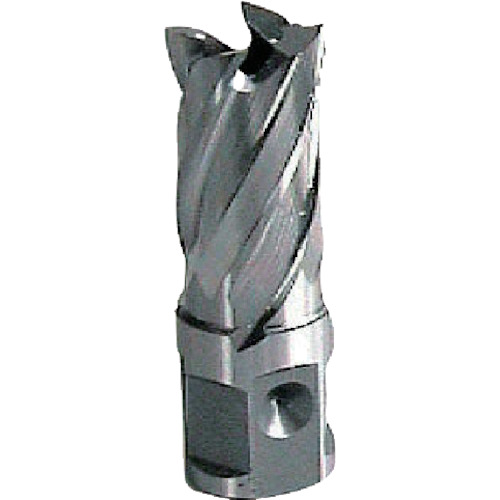 HCSQ120 大見工業 25SQハイスカッター 12.0mm【発注単位:1】