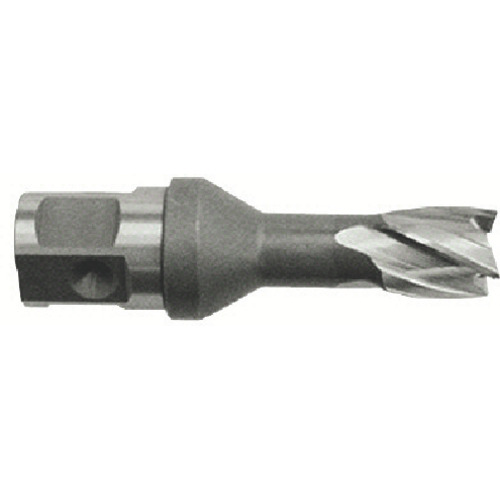HCSQ120L 育良精機 ライトボーラー用替刃(ハイス刃)(51129)【発注単位:1】