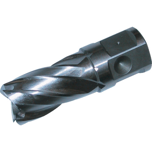 HCSQ160 大見工業 25SQハイスカッター 刃径16.0mm【発注単位:1】
