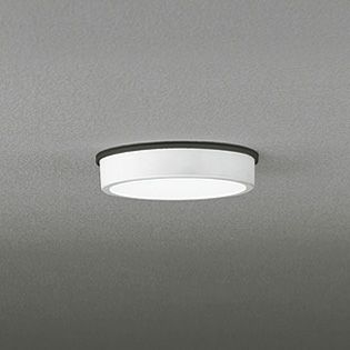 【中止品】OG254515 オーデリック 白熱灯100W相当 昼白色 LEDエクステリア