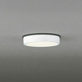OG254516 オーデリック 白熱灯100W相当 電球色 LEDエクステリア