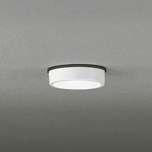 OG254527 オーデリック 白熱灯60W相当 昼白色 LEDエクステリア