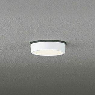 OG254528 オーデリック 白熱灯60W相当 電球色 LEDエクステリア