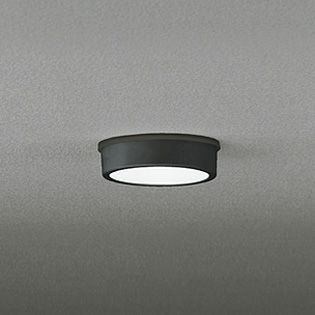 OG254529 オーデリック 白熱灯60W相当 昼白色 LEDエクステリア