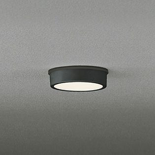 OG254530 オーデリック 白熱灯60W相当 電球色 LEDエクステリア