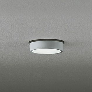 OG254531 オーデリック 白熱灯60W相当 昼白色 LEDエクステリア