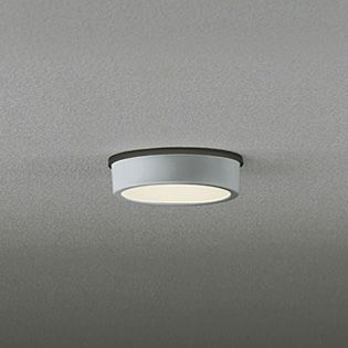 OG254532 オーデリック 白熱灯60W相当 電球色 LEDエクステリア